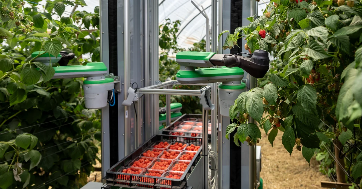 Fieldwork Raspberry Harvester