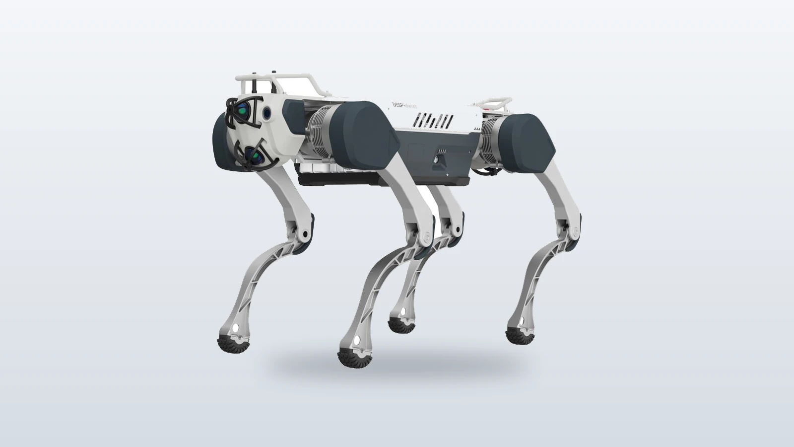 DEEP Robotics X30